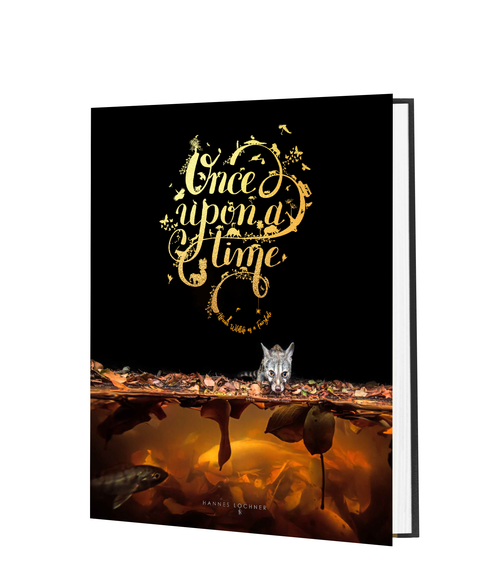 Once Upon A Time Book Series Ursula Vernon As T Kingfisher Creates A