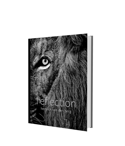 Reflection – Compact Edition