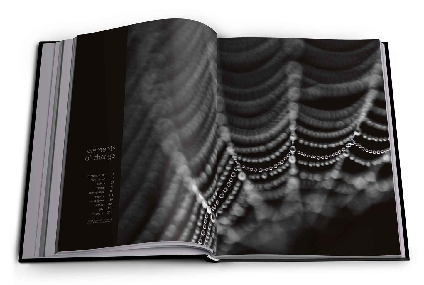 Reflection – Pocket Edition