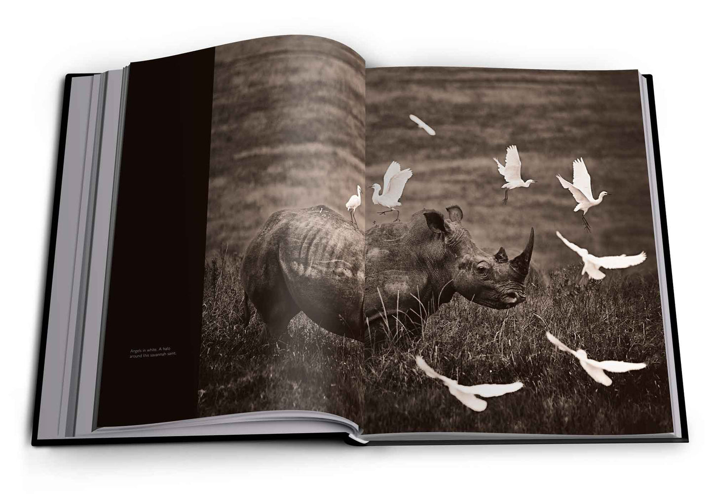 Reflection – Pocket Edition