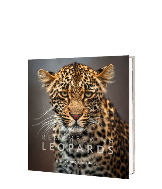 Remembering Leopards