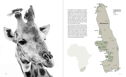 Kruger Safari