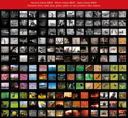 Reflection – Pocket Edition