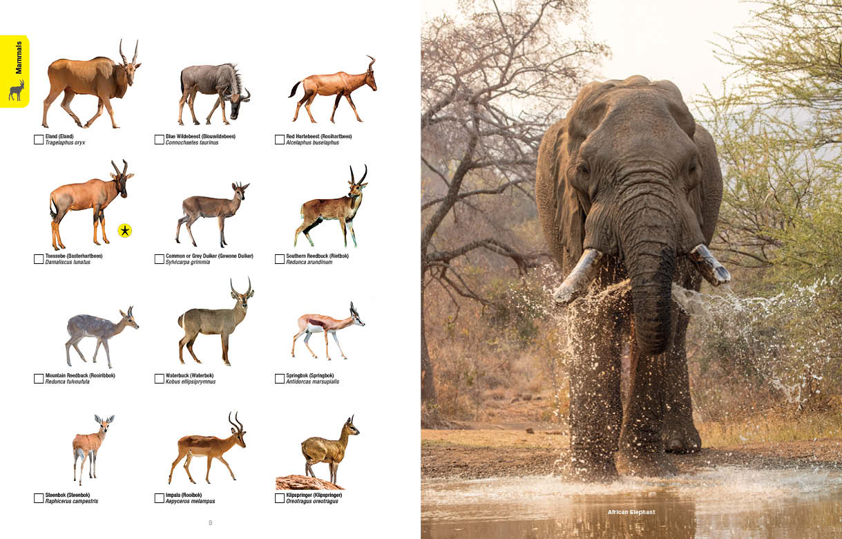 Tick, Track & Listen - Pilanesberg