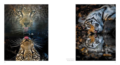 10 Years of Remembering Wildlife