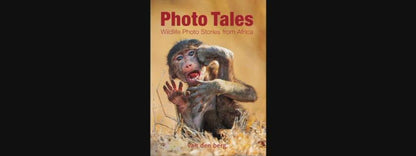 Photo Tales PDF