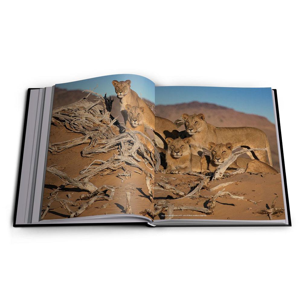 Vanishing Kings – Lions of the Namib Desert. Boxed Edition - HPH Publishing South Africa