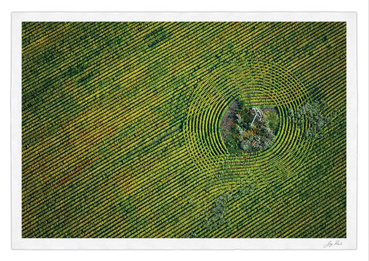 Mysteries in the Maize - HPH Publishing South Africa