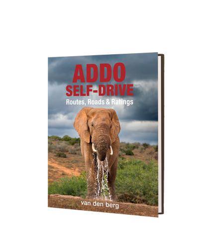 Addo Self-Drive – Routes, Roads and Ratings