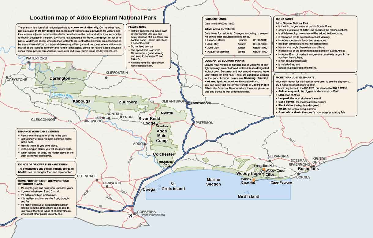 Addo Self-Drive – Routes, Roads and Ratings