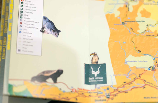 Kruger Self-Drive Fold-Out Map