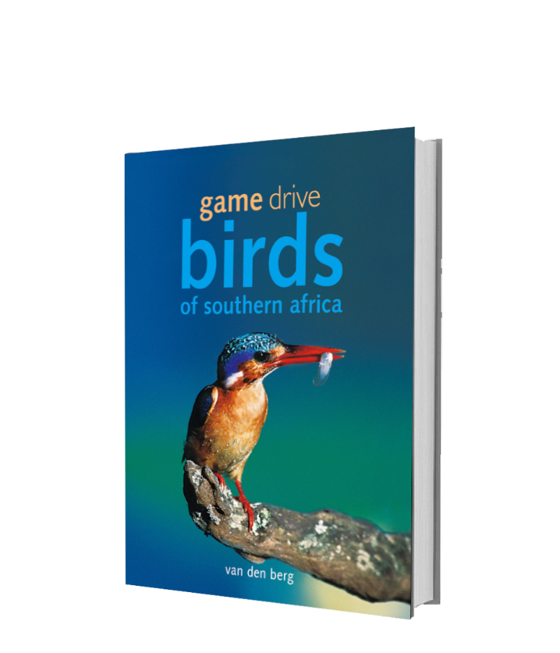 Game Drive Birds - HPH Publishing South Africa