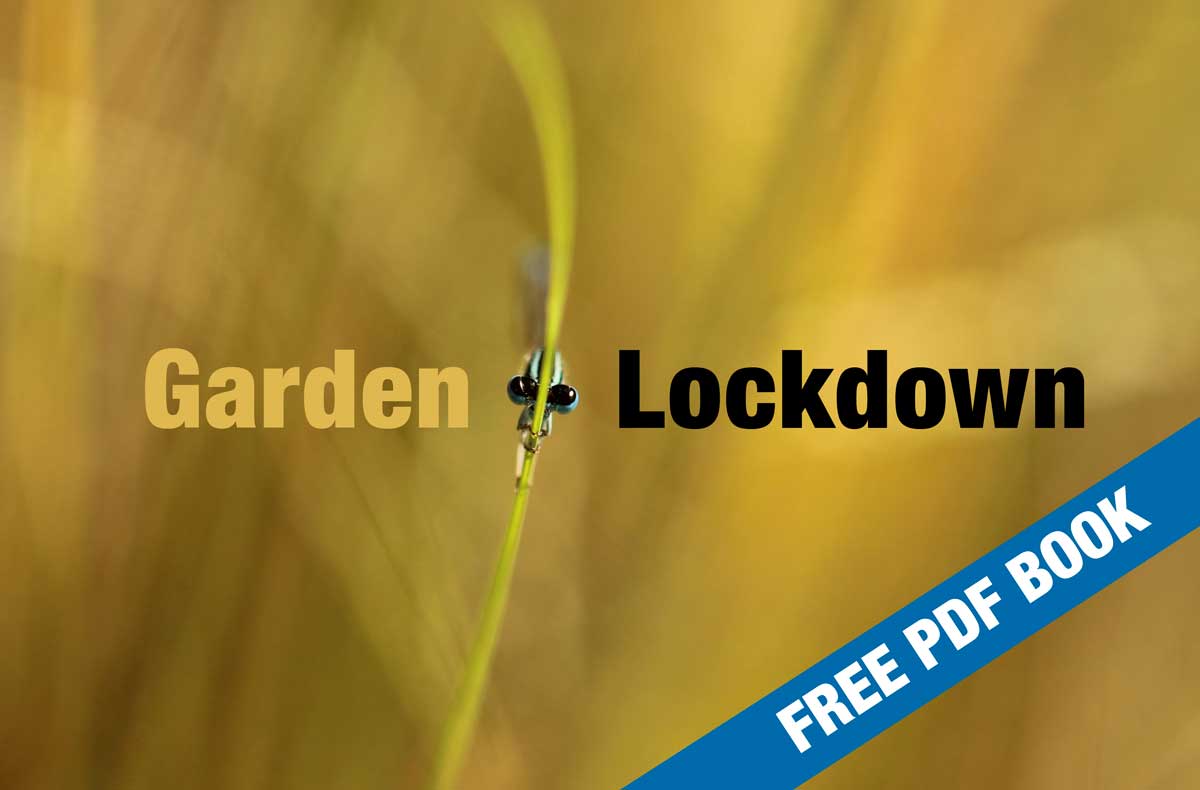 Garden Lockdown PDF Book - HPH Publishing