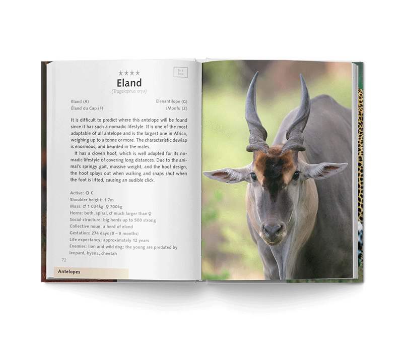 Game Drive - Safari Guide - HPH Publishing South Africa