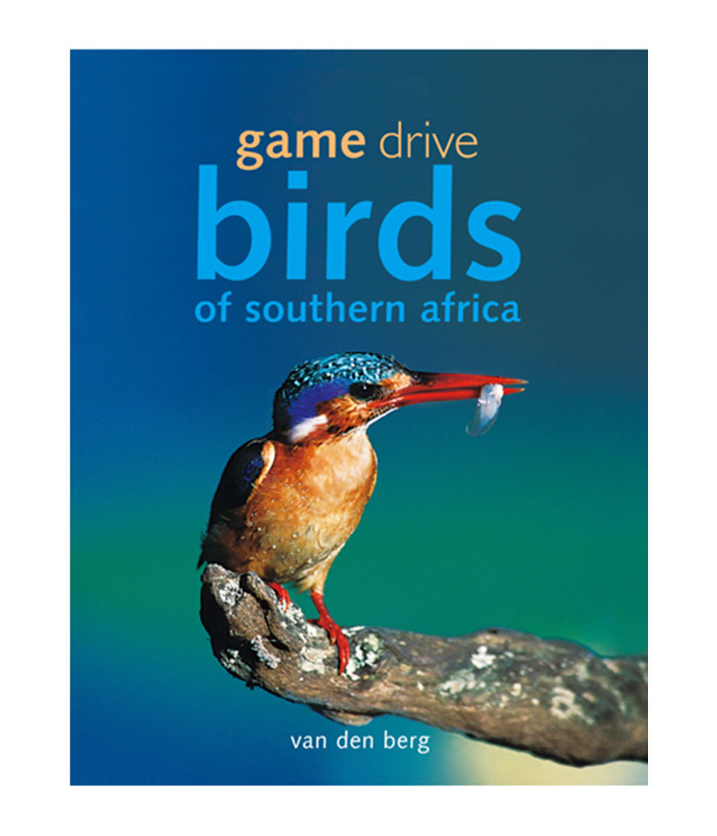 Game Drive Birds - HPH Publishing South Africa