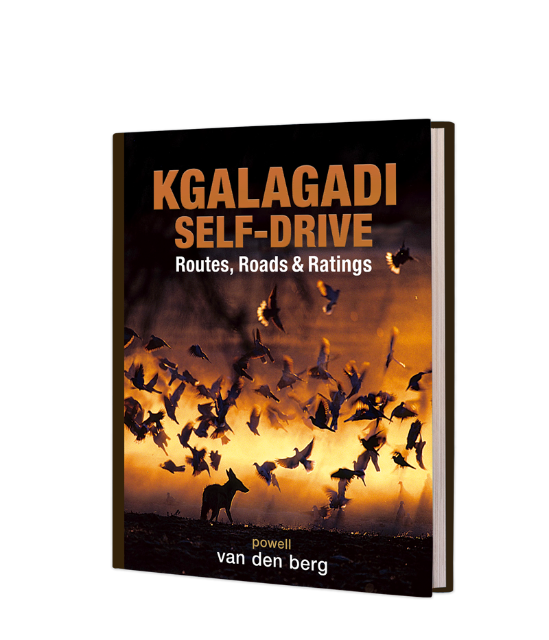 Kgalagadi Self-Drive - HPH Publishing South Africa