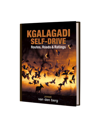 Kgalagadi Self-Drive - HPH Publishing South Africa