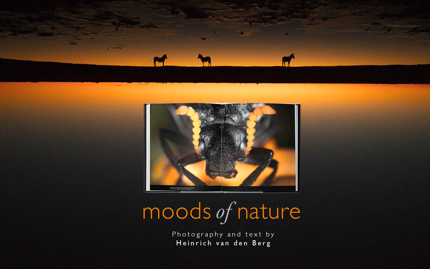 Moods of Nature – Elite Editions 101 - 500 - HPH Publishing South Africa