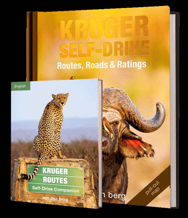 Kruger Routes – English