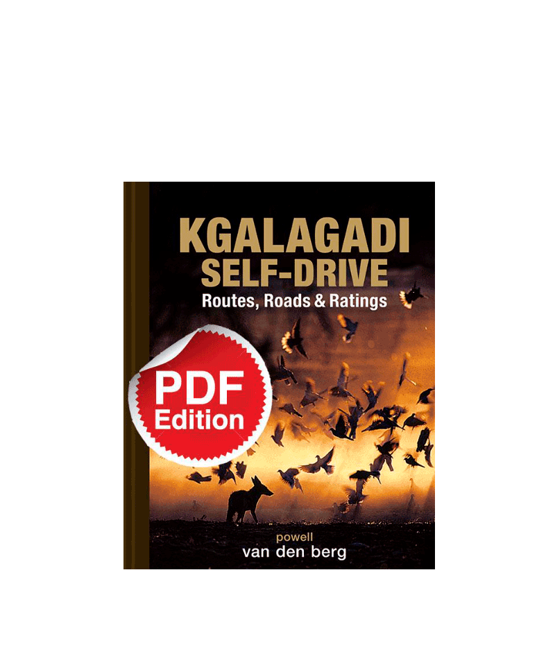 Kgalagadi Self-Drive PDF Download - HPH Publishing South Africa