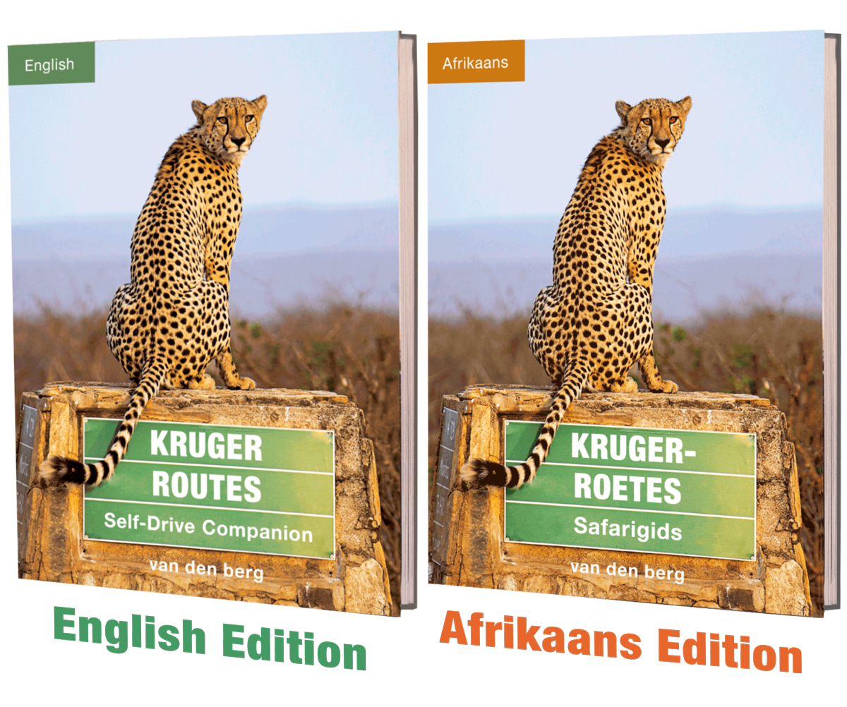 Kruger Routes – English