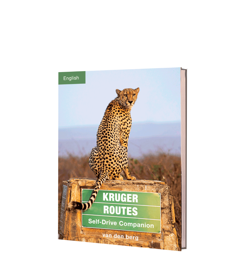 Kruger Routes – English