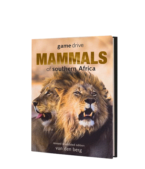 Game Drive Mammals Revised and Updated - Kapama - HPH Publishing South Africa