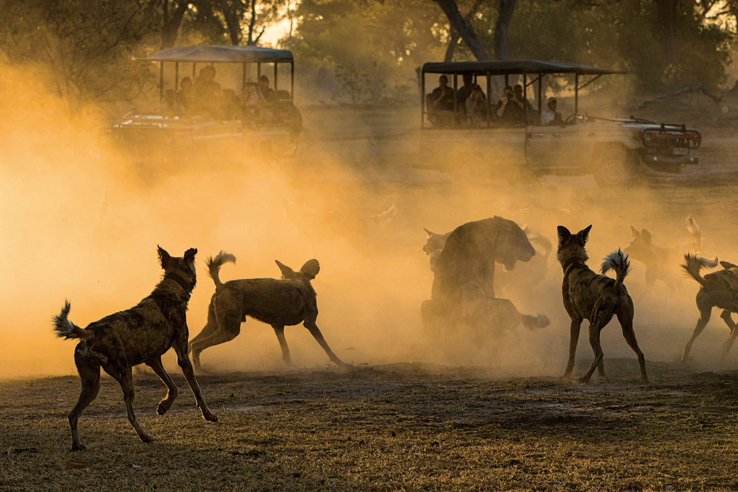 Photo Tales - HPH Publishing South Africa