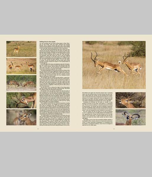 Pilanesberg Self-Drive Wildlife Trust Sales - HPH Publishing South Africa