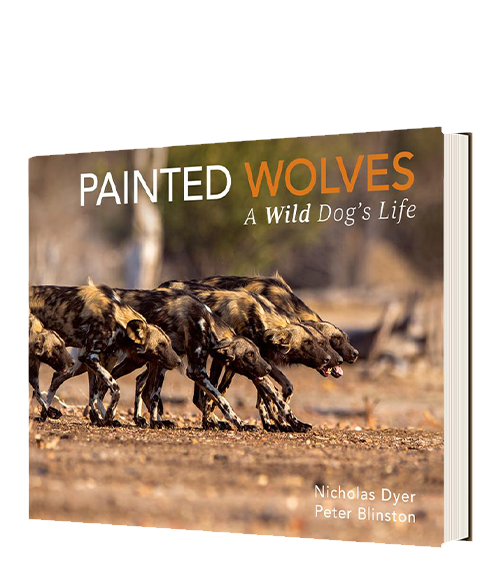 Painted Wolves - HPH Publishing South Africa