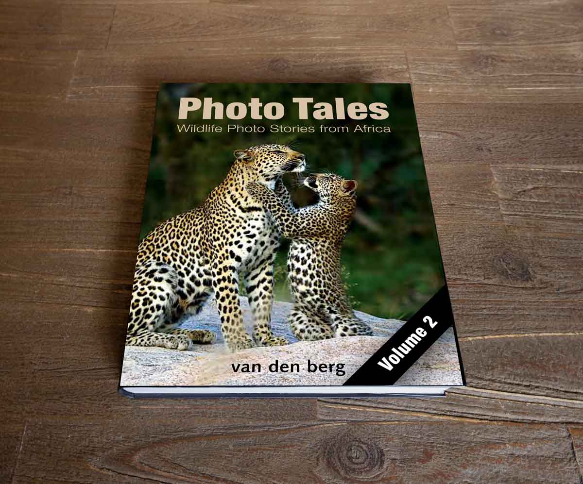 Photo Tales - Volume 2