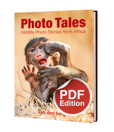 Photo Tales PDF - HPH Publishing