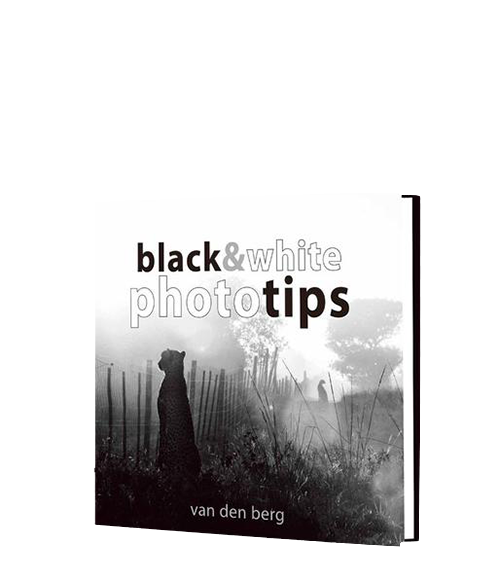 Photo Tips: Black & White - HPH Publishing South Africa