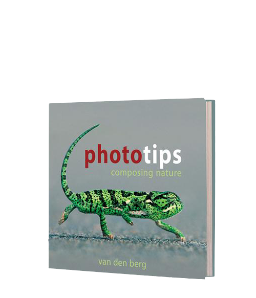 Photo Tips: Composing Nature - HPH Publishing South Africa