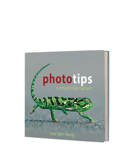 Photo Tips: Composing Nature - HPH Publishing South Africa