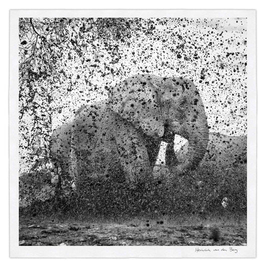 Elephant Ghost 10
