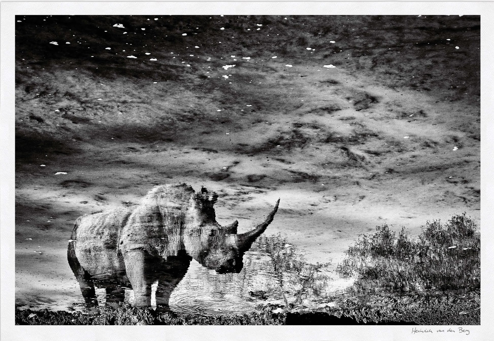 Rhino Unicorn Fine Art Print - HPH Publishing South Africa