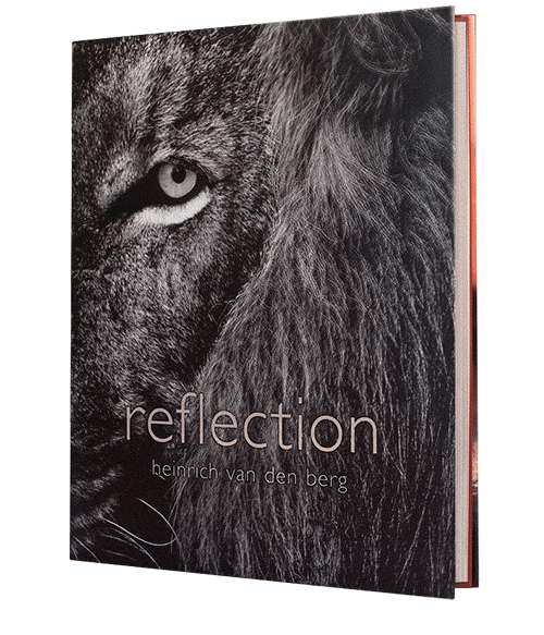 Reflection - HPH Publishing South Africa
