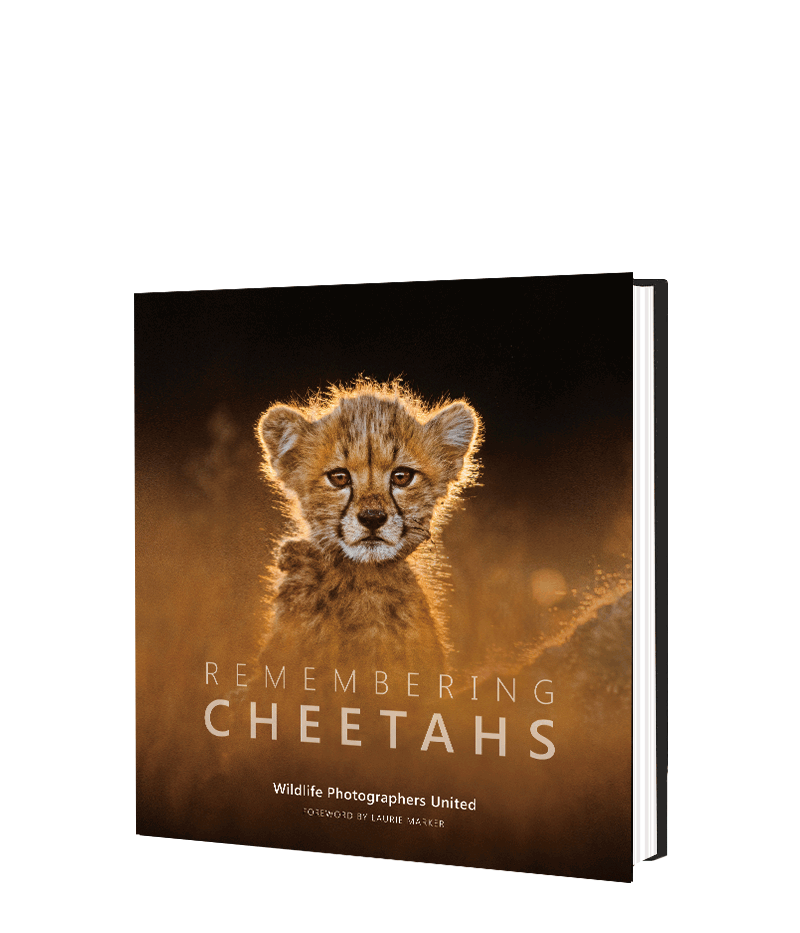 Remembering Cheetahs PRE-ORDER - HPH Publishing