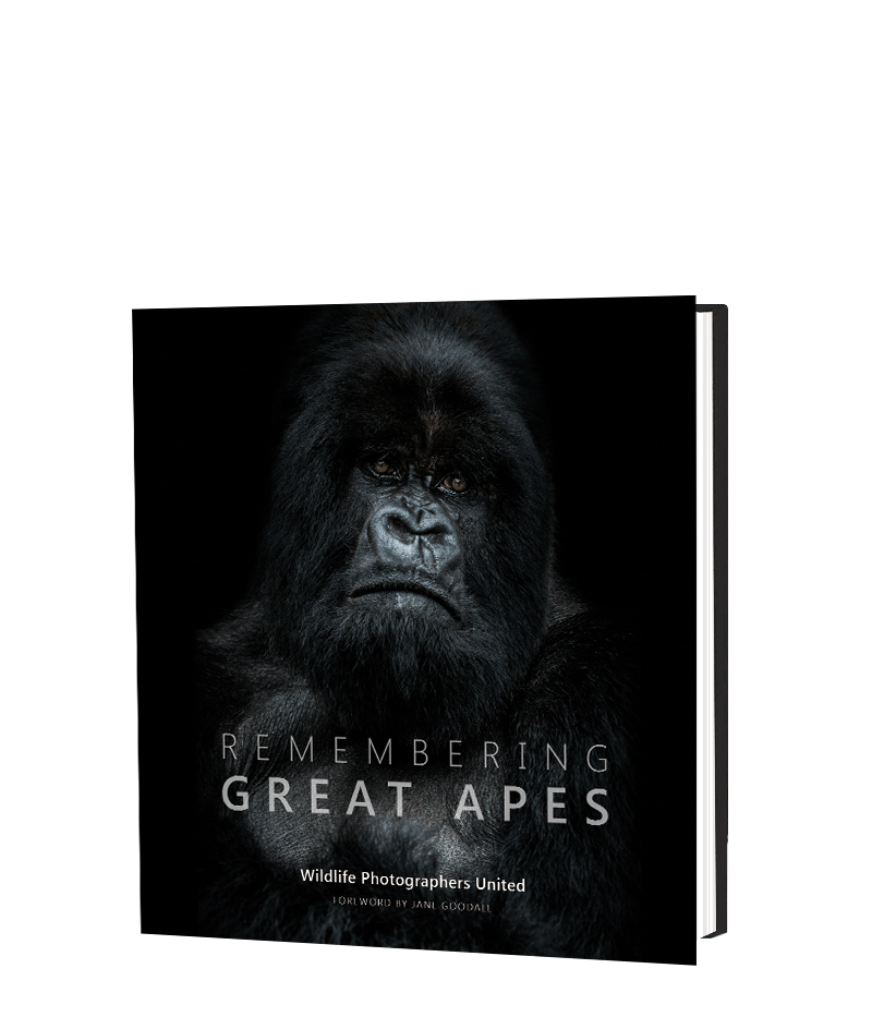 Remembering Great Apes – HPH Publishing