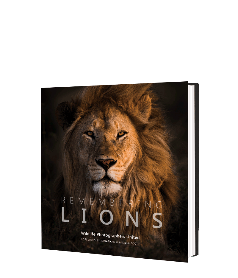 Remembering Lions - HPH Publishing South Africa