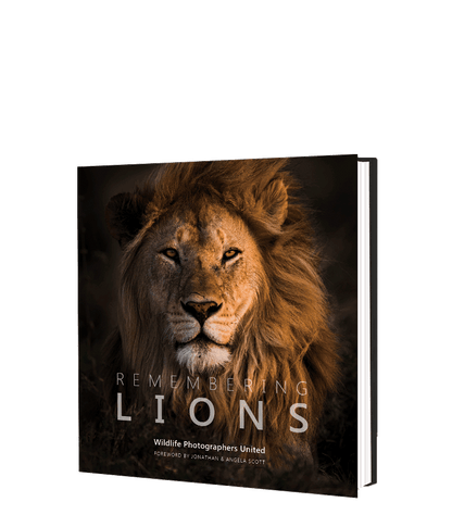 Remembering Lions - HPH Publishing South Africa