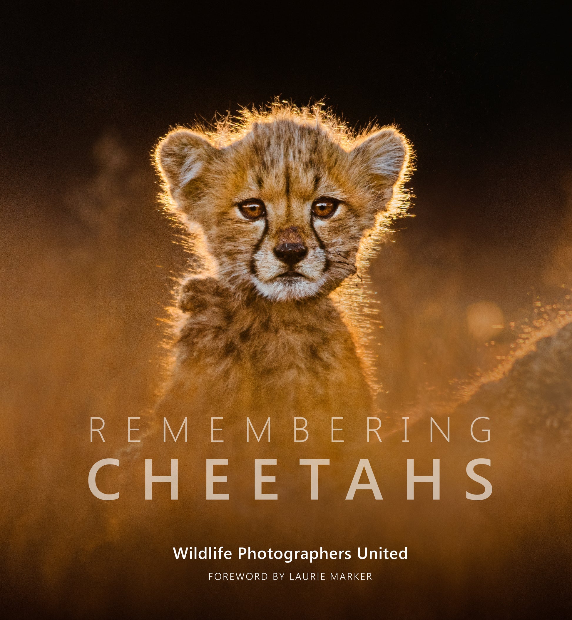 Remembering Cheetahs PRE-ORDER - HPH Publishing