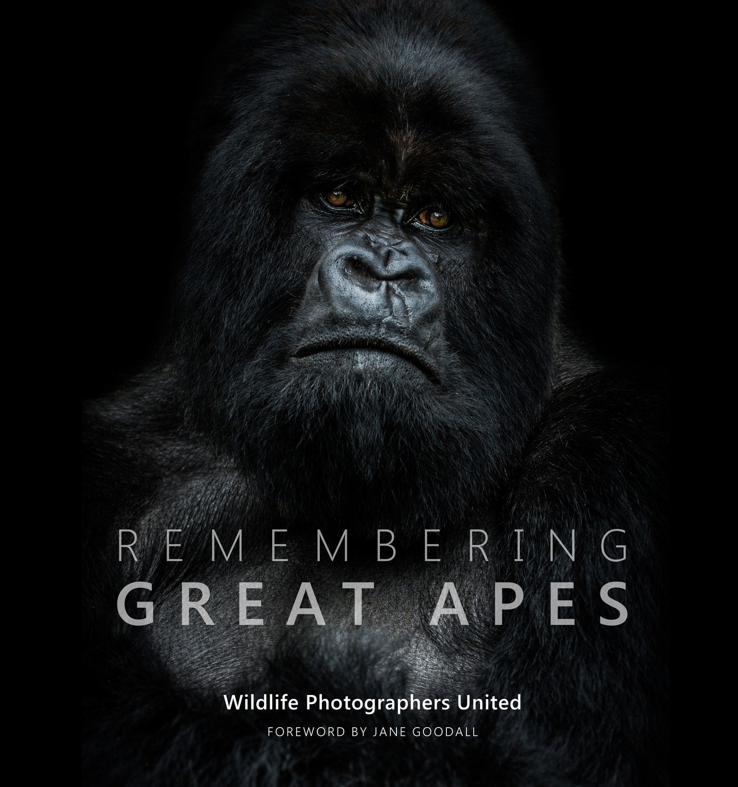 Remembering Great Apes - HPH Publishing South Africa