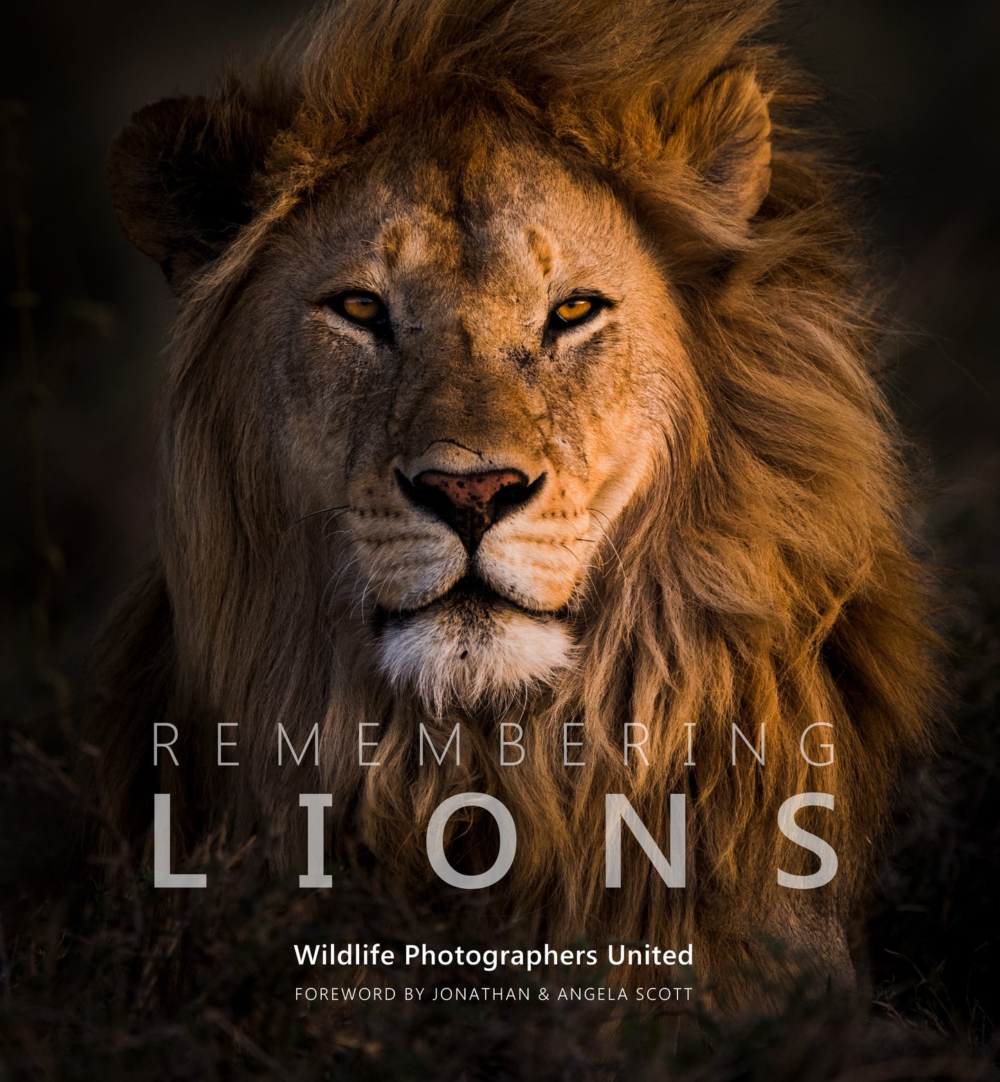 Remembering Lions - HPH Publishing South Africa