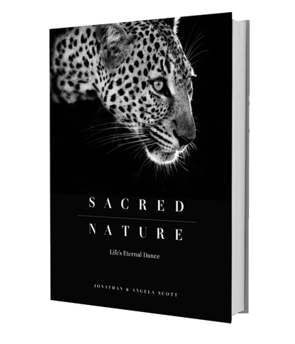 Sacred Nature: Life’s Eternal Dance - HPH Publishing South Africa