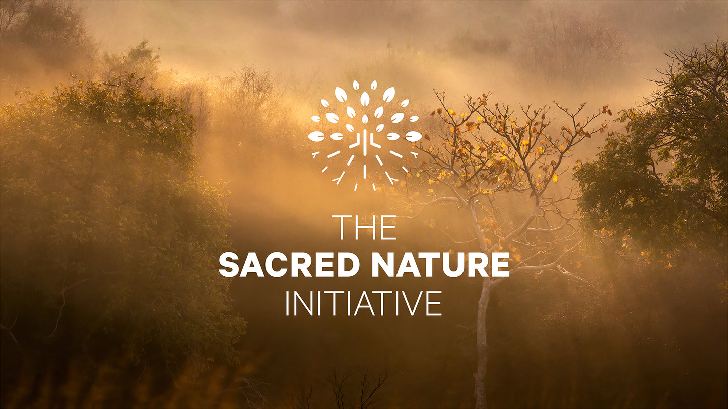 Sacred Nature 2: Reconnecting People to Our Planet - Limited Edition