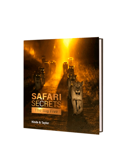 Safari Secrets – The Big Five
