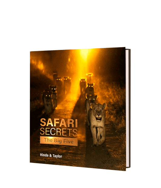 Safari Secrets – The Big Five