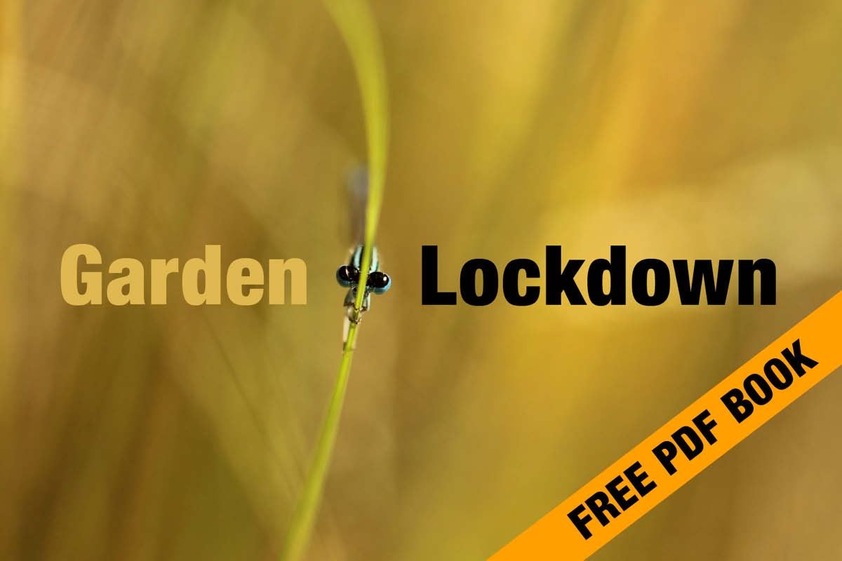 Garden Lockdown PDF Book - HPH Publishing